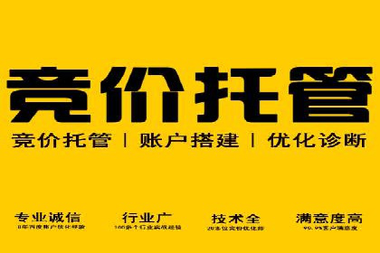 科技公司SEM外包战略的案例研究